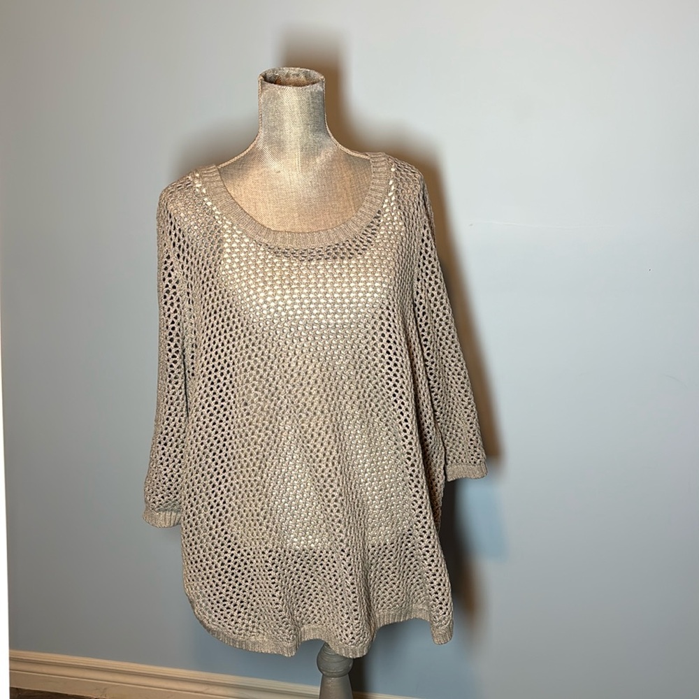 Grey sweater by In Every Story.  3X.